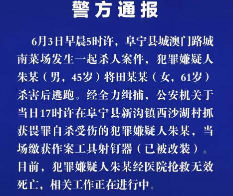 澳门平特一肖100最准一肖必中,澳门平特一肖与犯罪行为的界限