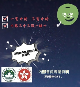 澳门王中王100%的资料三中三,澳门王中王100%精准资料解析与三中三策略探讨