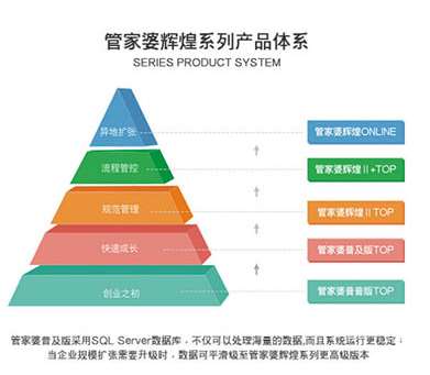 新澳门管家婆一句,新澳门管家婆一句，揭示智慧与决策的魅力