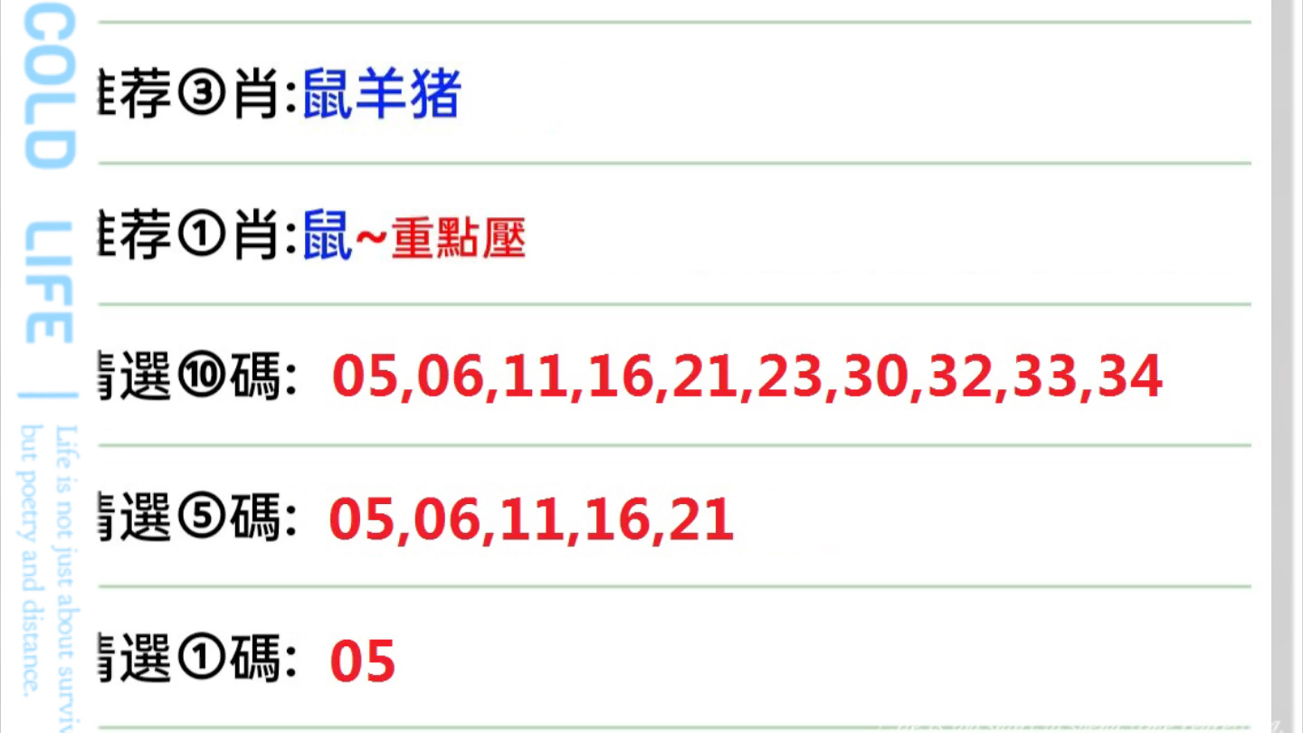 新澳门开奖结果+开奖号码,澳门新开奖结果与开奖号码，探索与解析