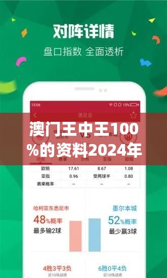 2024年新澳门王中王免费,探索新澳门王中王免费体验的独特魅力（2024年展望）