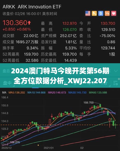 2025澳门特马今晚开什么,澳门特马今晚开什么——探索随机性与预测的边缘