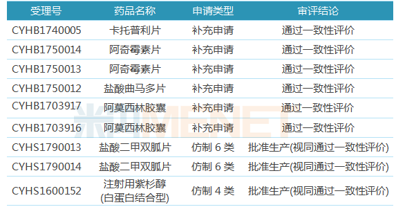 澳门特马今期开奖结果2025年记录,澳门特马今期开奖结果及未来展望，聚焦2025年记录