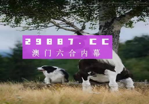 金戈铁马 第4页