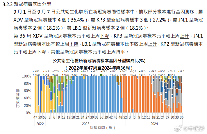 新澳门管家婆一句131期 07-12-17-24-29-37X：10,新澳门管家婆一句解读，探索数字背后的秘密与期待