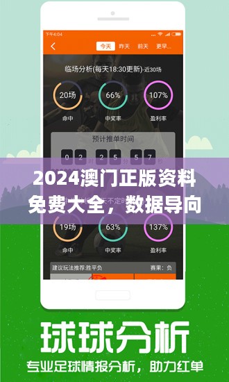 2024澳门正版资料免费大全005期 03-11-14-15-28-44G：46,探索澳门正版资料，免费大全005期之神秘数字组合