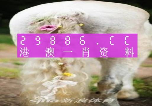 澳门最准一肖一码133期 05-14-17-22-42-46V：33,澳门最准一肖一码，探索与解析