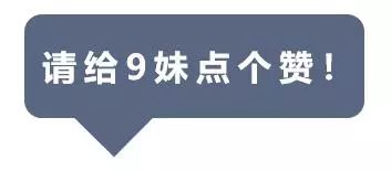 2025新奥门免费资料081期 29-07-10-48-23-31T：06,探索新澳门，2025年免费资料的深度解析（第081期）